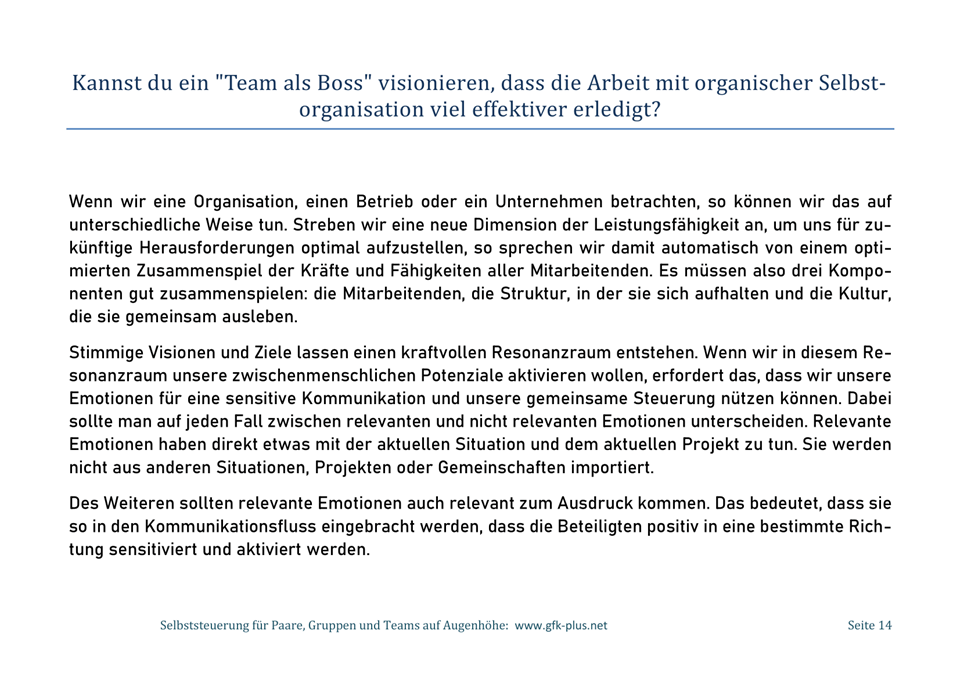 Ebook - Emotionen als Dreh- und Angelpunkt -14