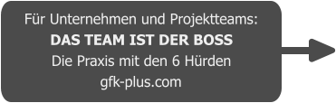 Für Unternehmen und Projektteams: DAS TEAM IST DER BOSS Die Praxis mit den 6 Hürden gfk-plus.com