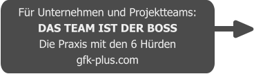 Für Unternehmen und Projektteams: DAS TEAM IST DER BOSS Die Praxis mit den 6 Hürden gfk-plus.com