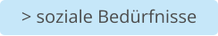 > soziale Bedürfnisse