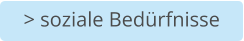 > soziale Bedürfnisse
